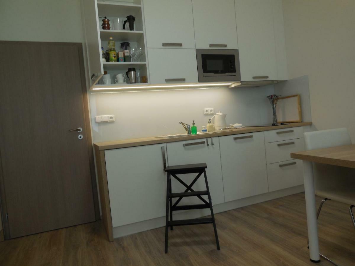 Apartment Potter Brno Eksteriør billede